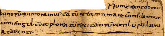 Verse 7, Florence, MS Libri 83, folio 22r.