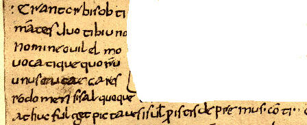 Verse 15, Florence, MS Libri 83, folio 22v.
